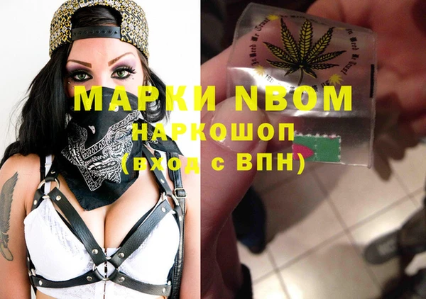 сатива Богородицк