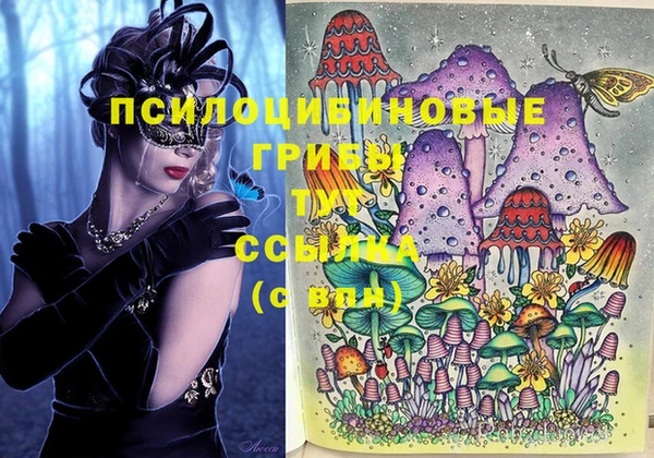 кристаллы Белокуриха