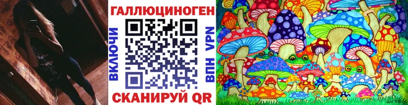 Галлюциногенные грибы Psilocybe  Верхотурье 